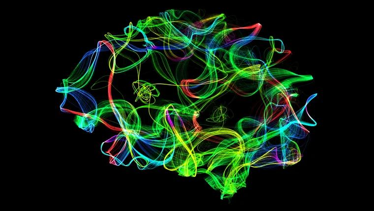 Œuvre CellandArt, solo à dominante verte, encadrée.