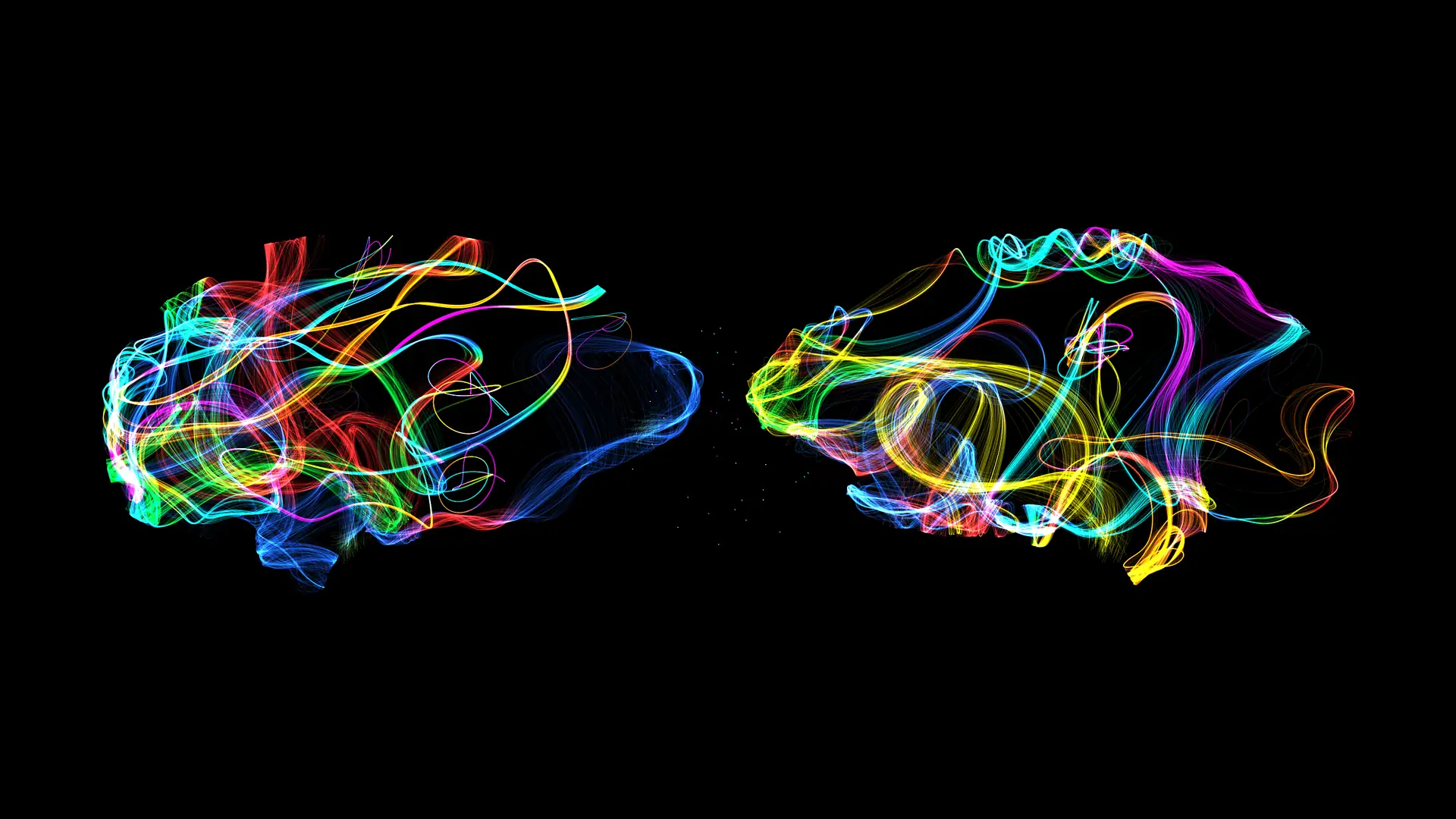 Œuvre en duo : deux formes de cerveau en lignes de couleur, face à face.